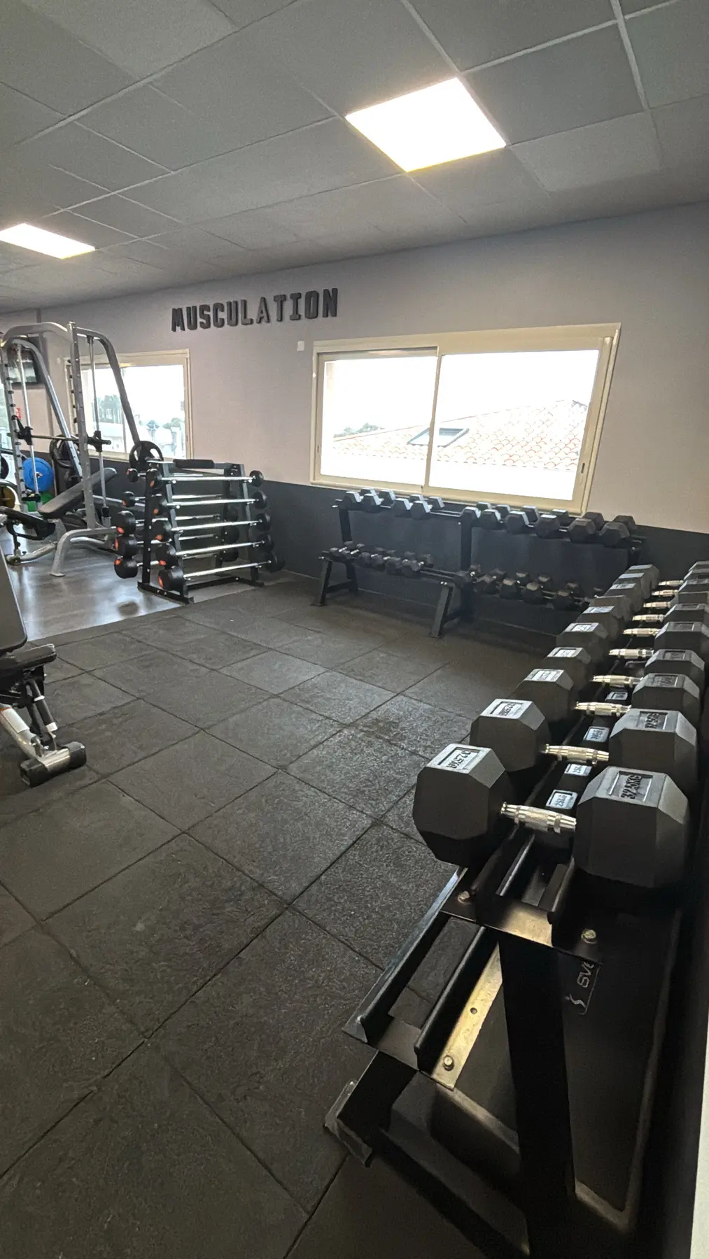 Rangée d’haltères sous l’enseigne Musculation