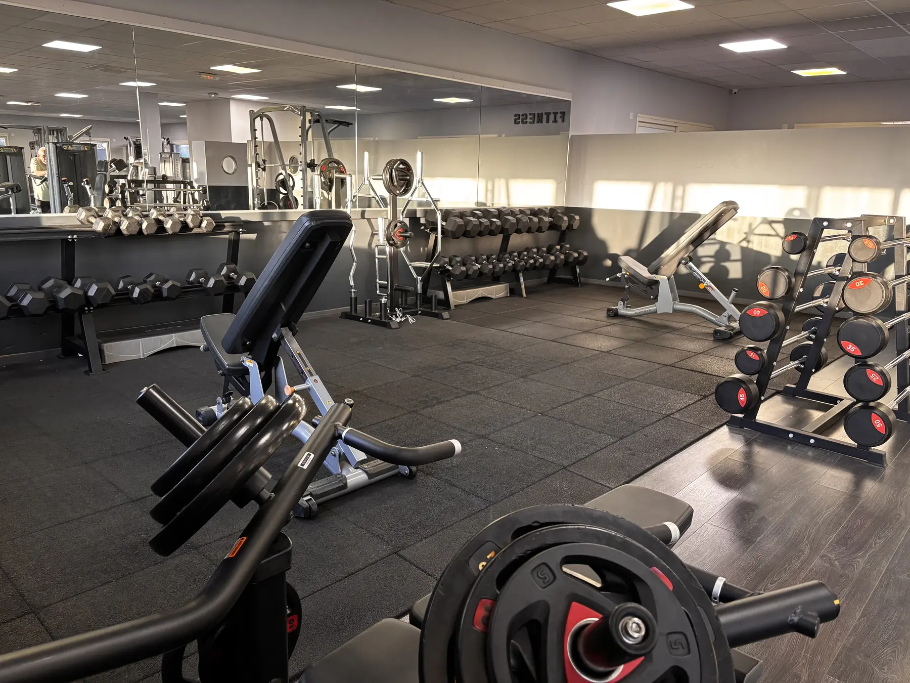 Zone de musculation équipée de bancs, haltères et disques