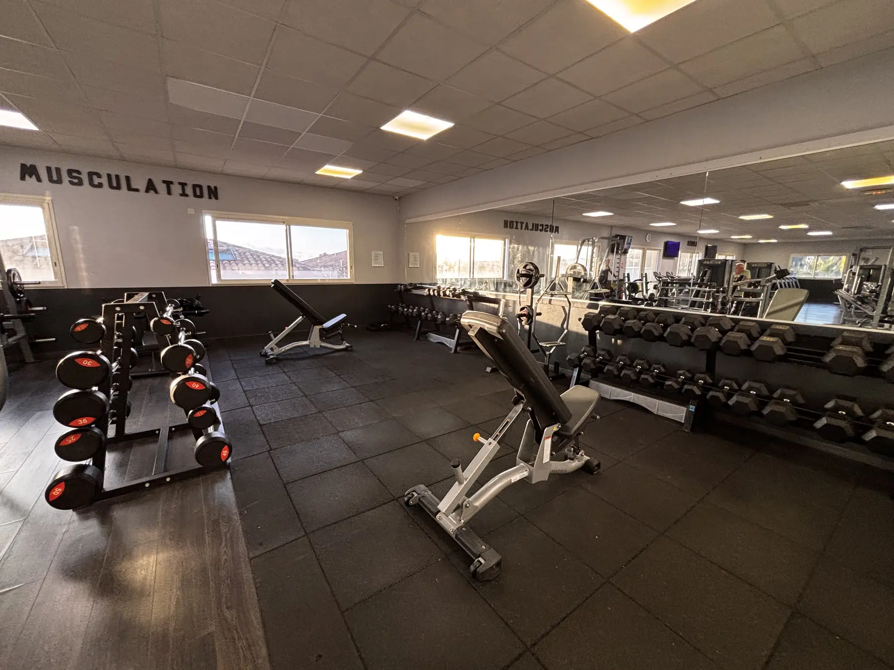 Espace musculation avec bancs, haltères et charges libres